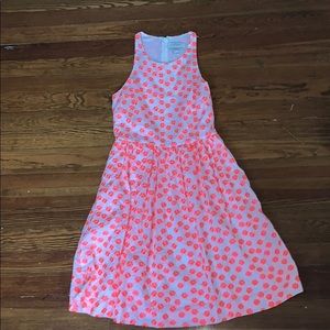 J Crew Dress